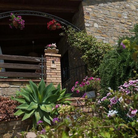 Il Brillocco Bed & Breakfast Castellabate Bagian luar foto