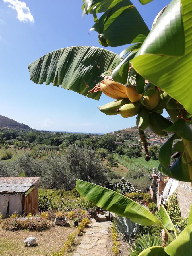 Il Brillocco Bed & Breakfast Castellabate Bagian luar foto