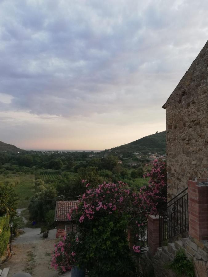 Il Brillocco Bed & Breakfast Castellabate Bagian luar foto