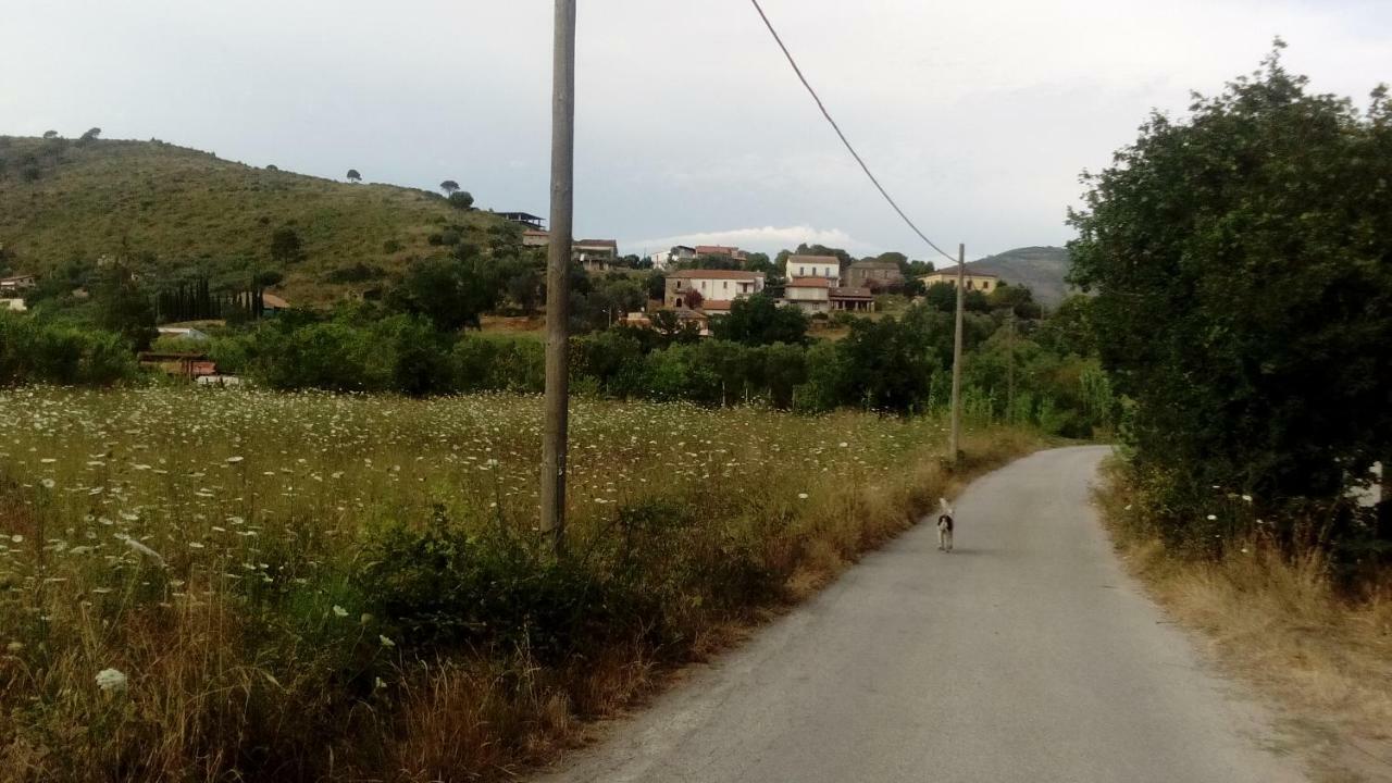 Il Brillocco Bed & Breakfast Castellabate Bagian luar foto
