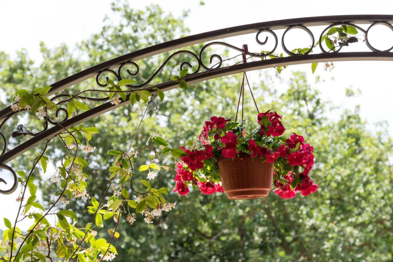 Il Brillocco Bed & Breakfast Castellabate Bagian luar foto