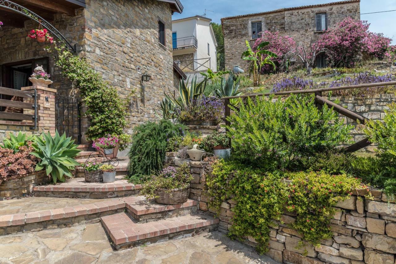 Il Brillocco Bed & Breakfast Castellabate Bagian luar foto