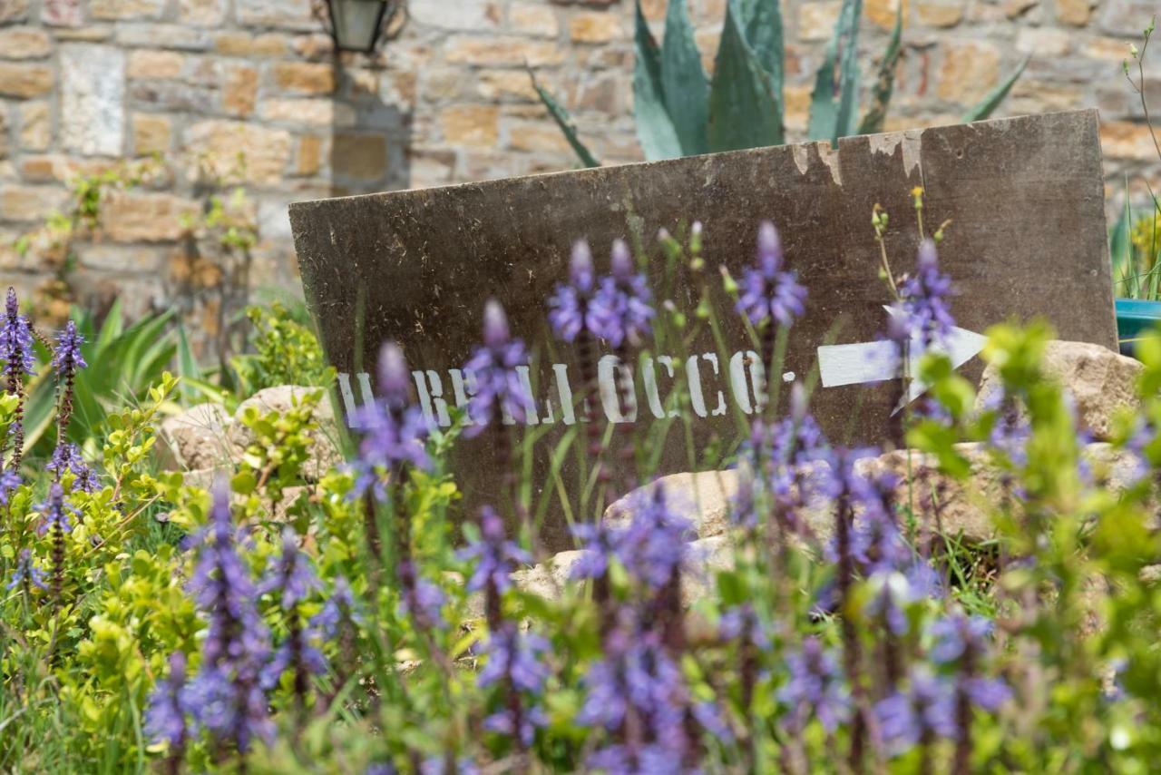 Il Brillocco Bed & Breakfast Castellabate Bagian luar foto