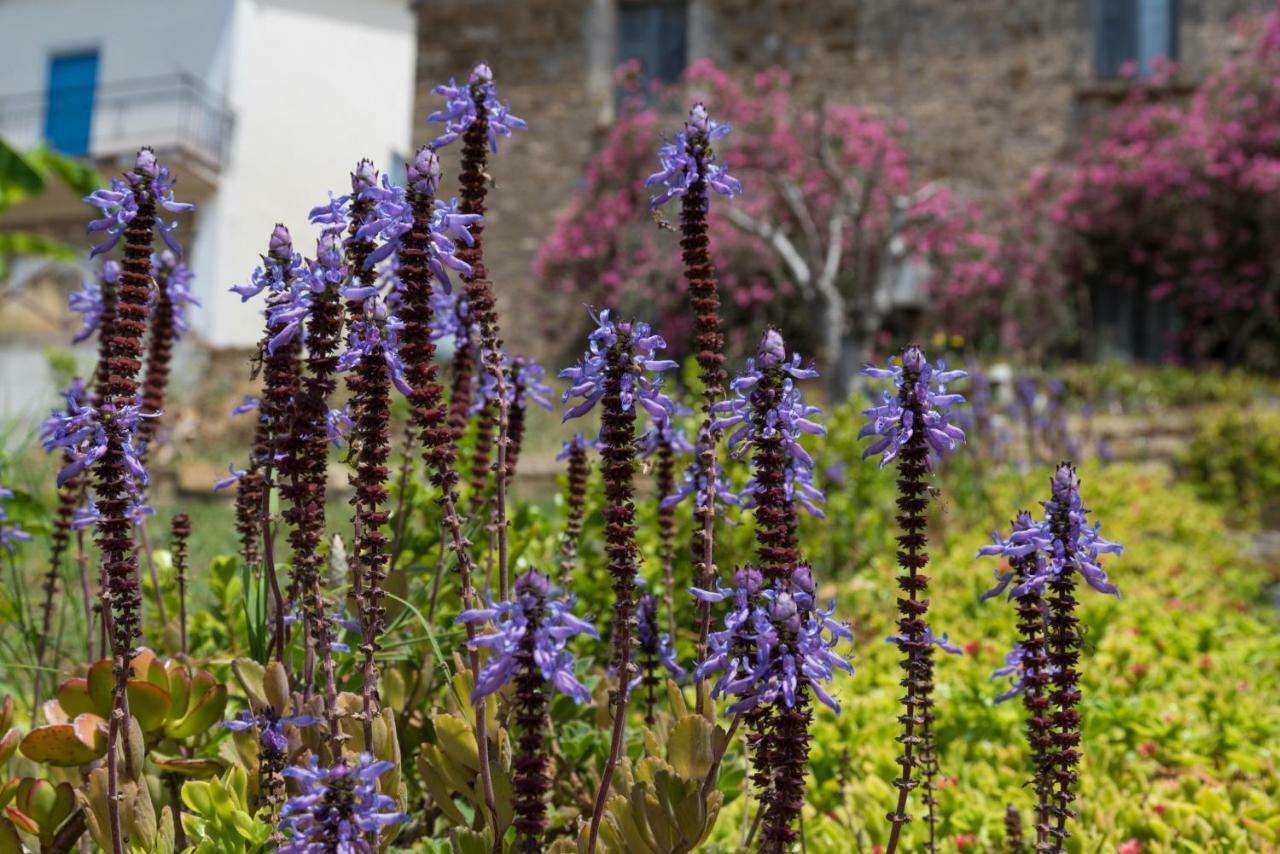 Il Brillocco Bed & Breakfast Castellabate Bagian luar foto