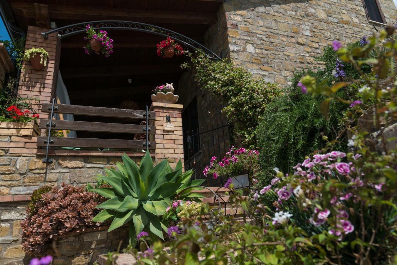 Il Brillocco Bed & Breakfast Castellabate Bagian luar foto
